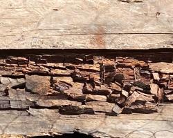 protectores de la madera