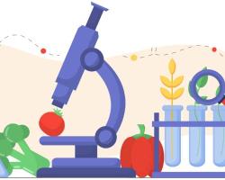 seguridad alimentaria