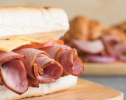 listeria monocytogenes