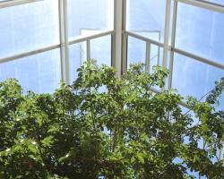 calidad ambiental en interiores