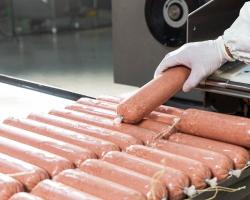 listeria