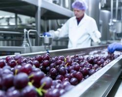 control oficial cadena alimentaria