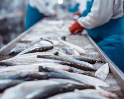 higiene alimentaria