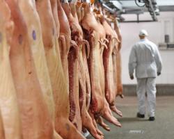 seguridad alimentaria