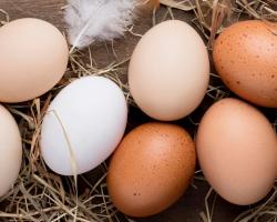 seguridad alimentaria