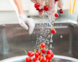 seguridad alimentaria