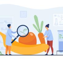 seguridad alimentaria