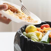 desperdicio alimentario