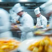 seguridad alimentaria