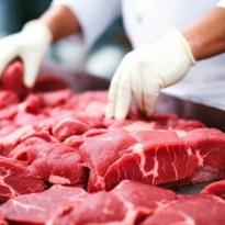 seguridad alimentaria