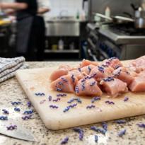 campylobacter