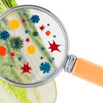 seguridad alimentaria