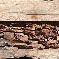 protectores de la madera