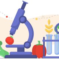 seguridad alimentaria