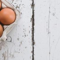 Se puede utilizar huevo fresco en hostelería?