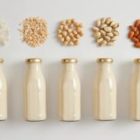 seguridad alimentaria