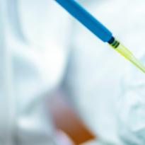 seguridad alimentaria