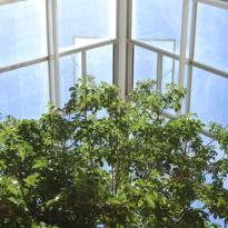 calidad ambiental en interiores