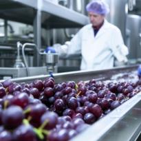 control oficial cadena alimentaria