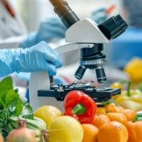 seguridad alimentaria