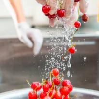 seguridad alimentaria